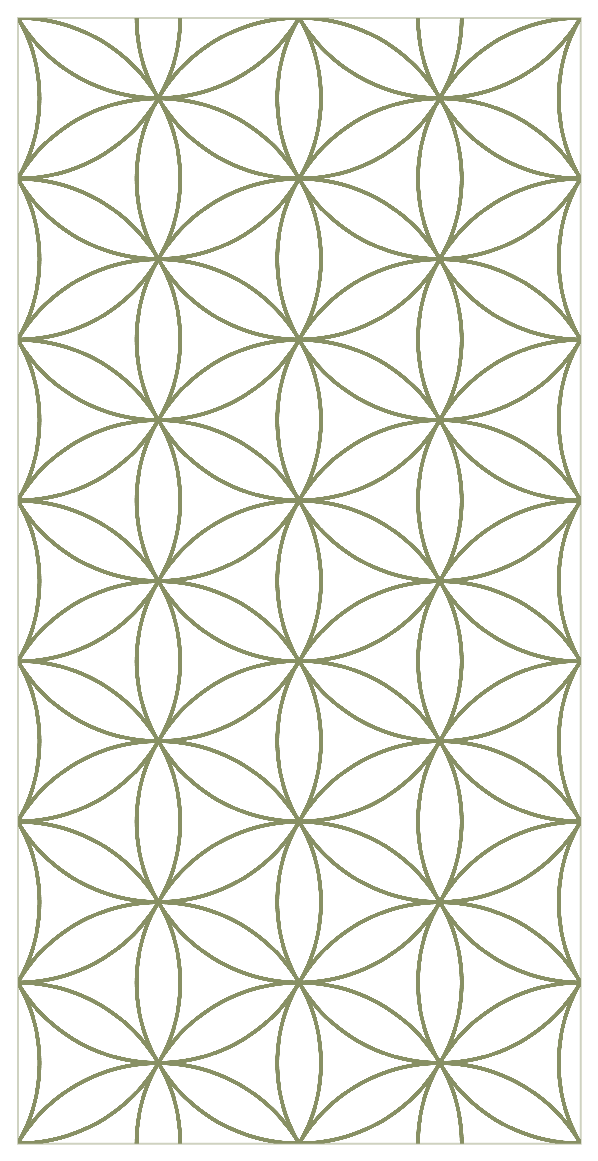 Birds of Paradise - Wholesale